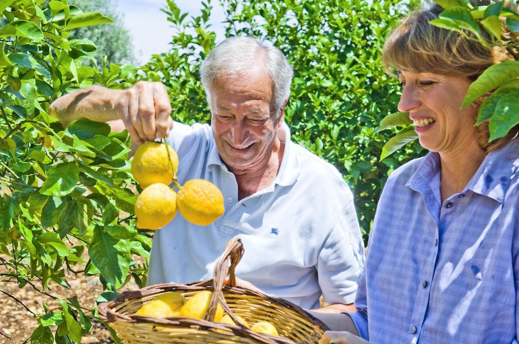Alloggio per agriturismo Limoneto *